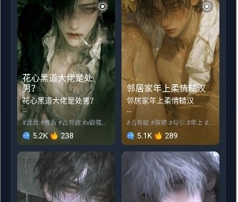 Dadyai应用内横屏通话画面二